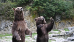 (2013-09) Aux grottes de Han